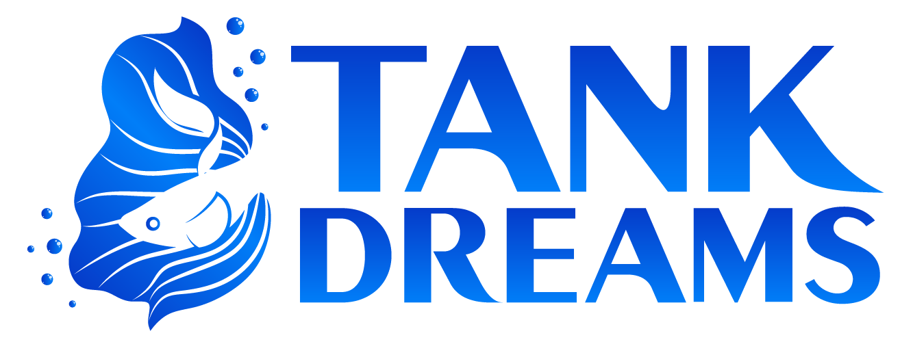 Red And White Ranchu Goldfish Tank Dreams